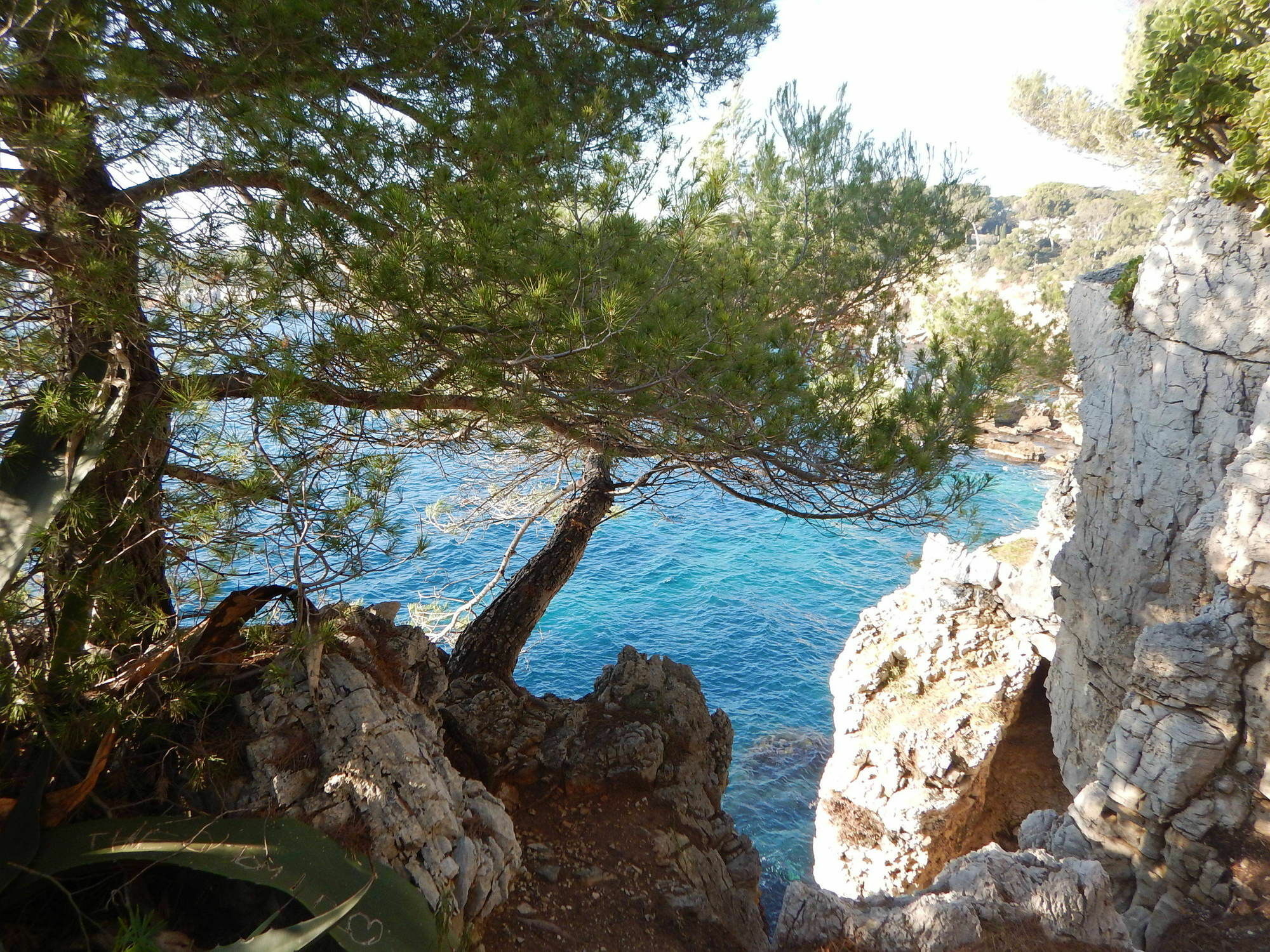Hotel Miramar- Cap D'Antibes - La Garoupe Plage エクステリア 写真